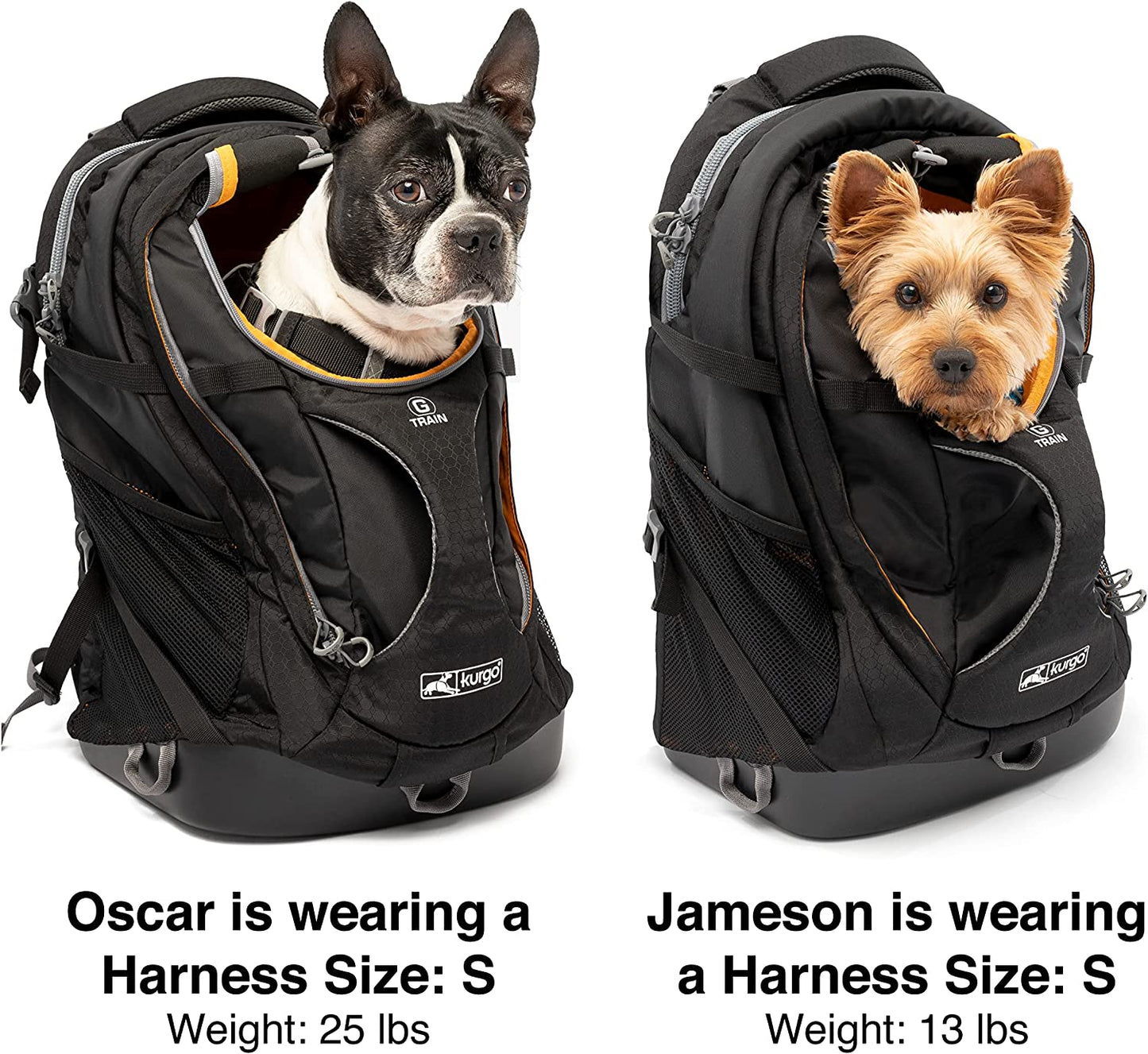 G-Train Dog Carrier Backpack - Comfortable Pet Travel Backpack for Small Dogs up to 11Kg - Rugged Design - Laptop Compartment - Armorsole Base - Water-Resistant - Heather Grey