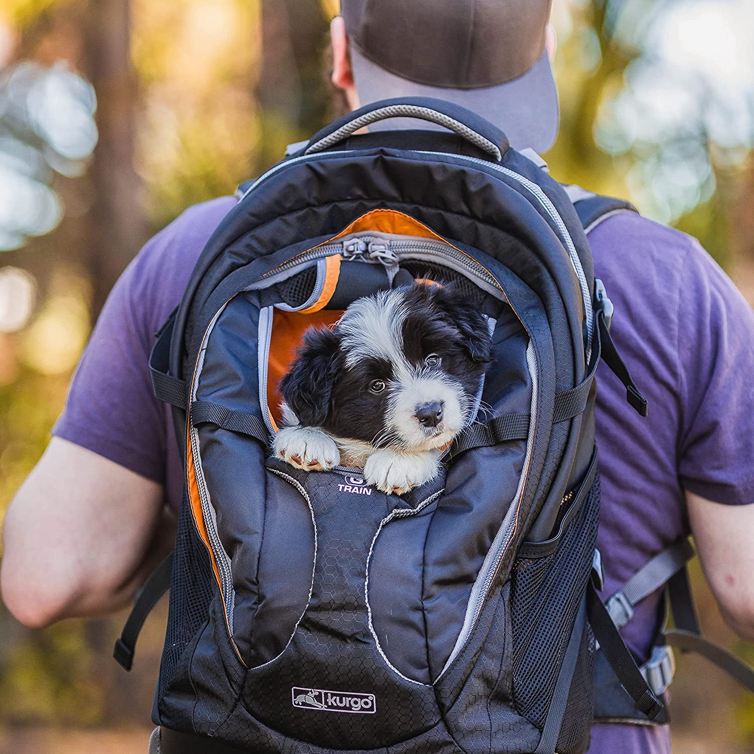 G-Train Dog Carrier Backpack - Comfortable Pet Travel Backpack for Small Dogs up to 11Kg - Rugged Design - Laptop Compartment - Armorsole Base - Water-Resistant - Heather Grey