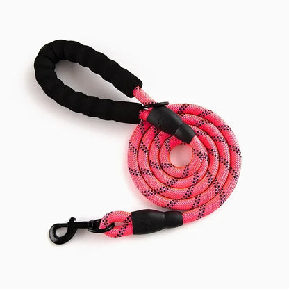 150 cm Durable Reflective Dog Leash for Large, Medium, and Small Breeds, Ideal for Golden Retrievers and Active Pets