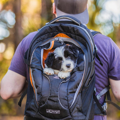 G-Train Dog Carrier Backpack - Comfortable Pet Travel Backpack for Small Dogs up to 11Kg - Rugged Design - Laptop Compartment - Armorsole Base - Water-Resistant - Heather Grey