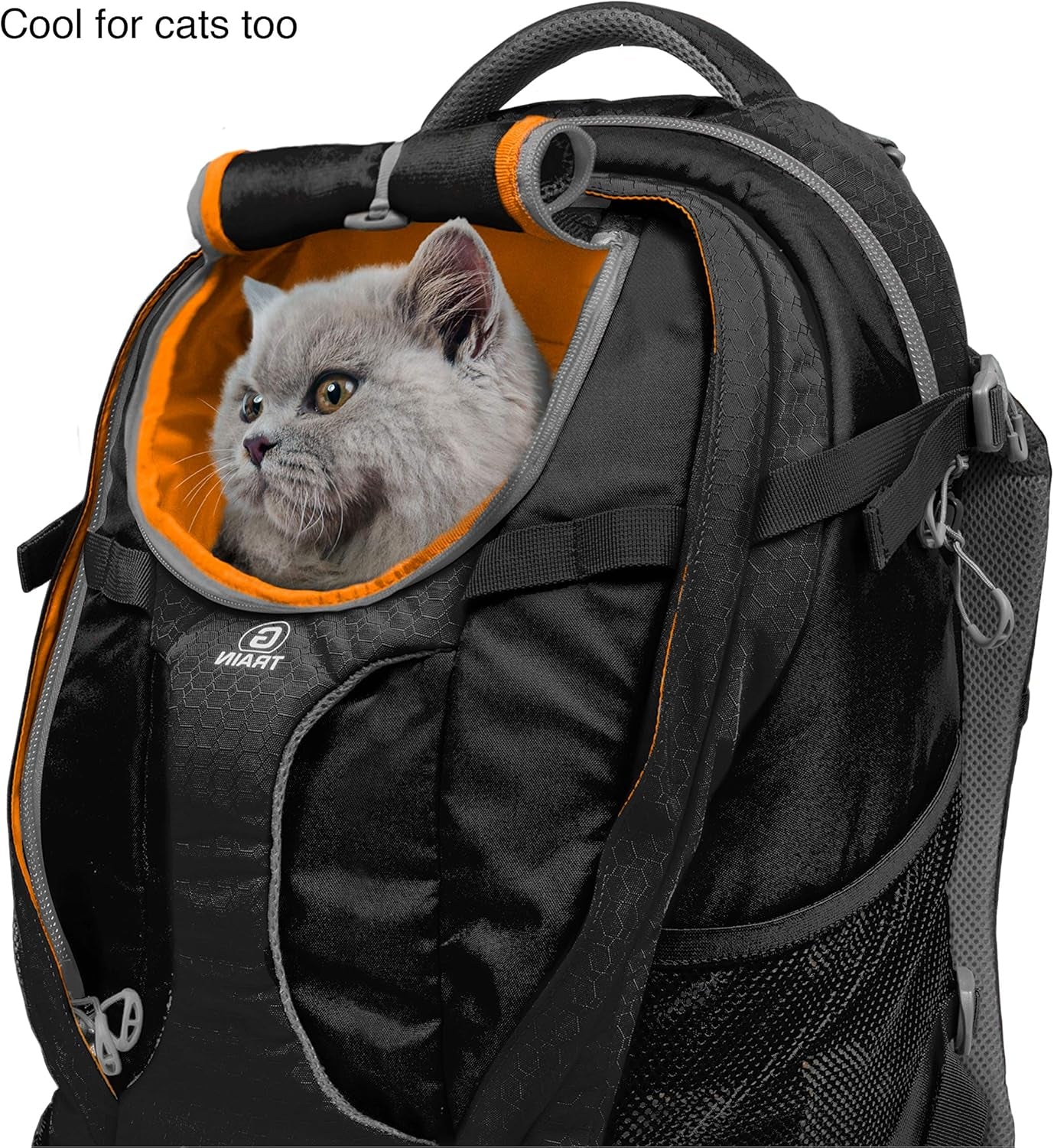 G-Train Pack, Carrier Backpack for Small Dogs and Cats, Ideal for Hiking or Travel, Waterproof Bottom, Ink Blue